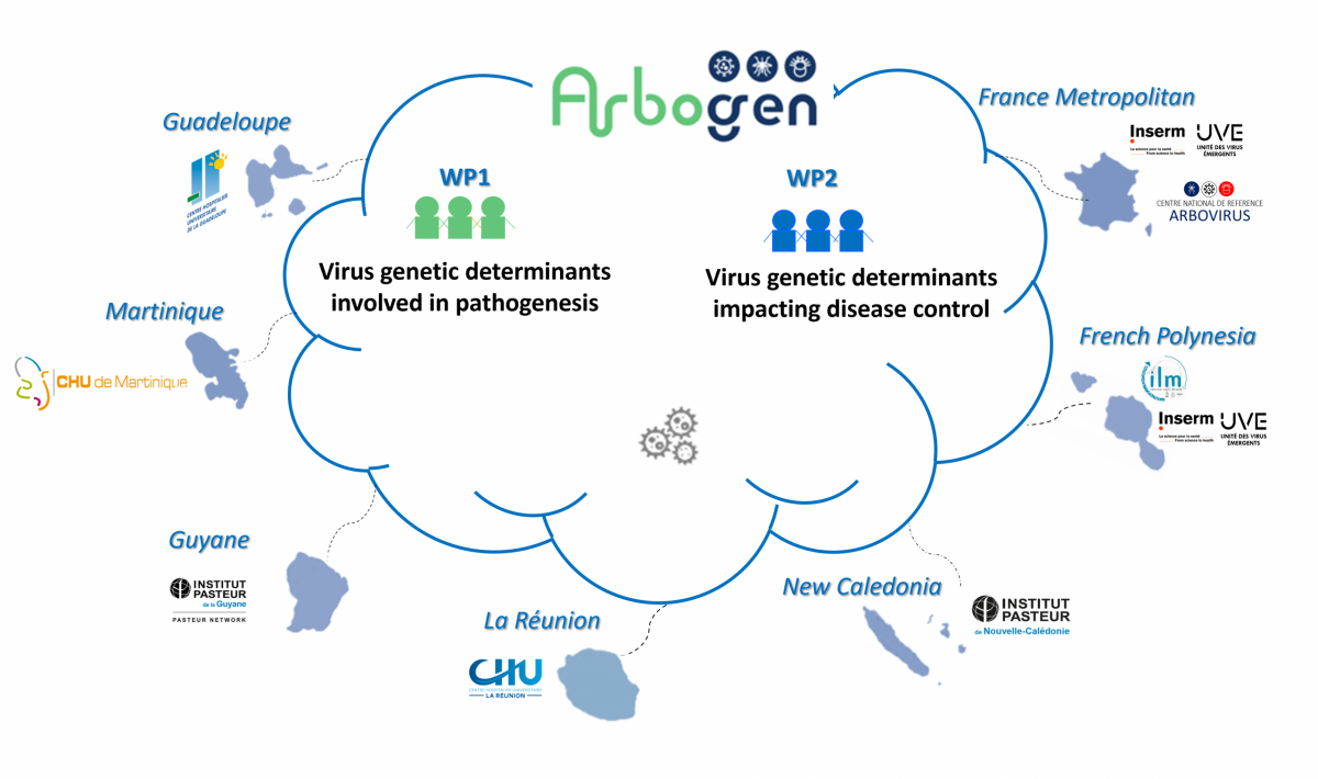 ARBOGEN collaborations ARBOGEN collaborations