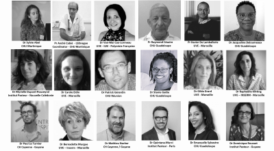 LSDengue Executive Committee