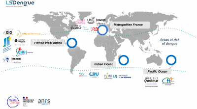 LSDengue consortium map